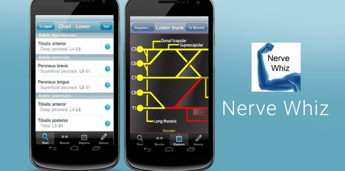 Nerve-Whiz-705x3501