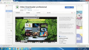 Video Downloader professional