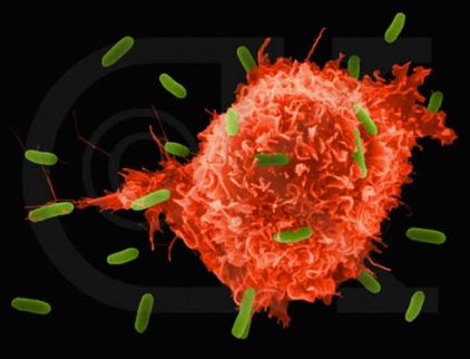 gold-nano-particles-cancer