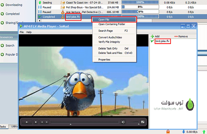 mp4flvplayer